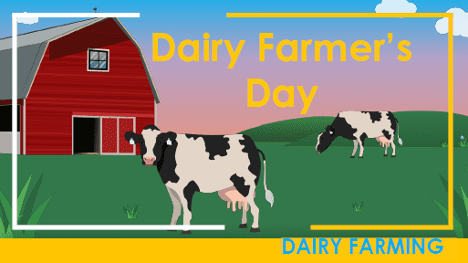 Cow on the field and barn - Dairy farmers day