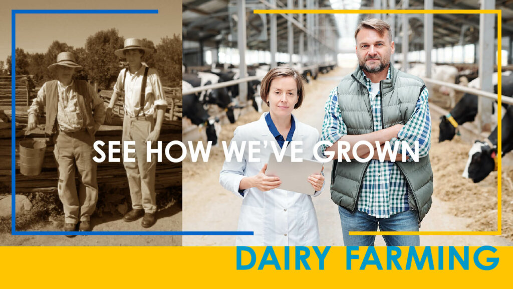 See How We’ve Grown