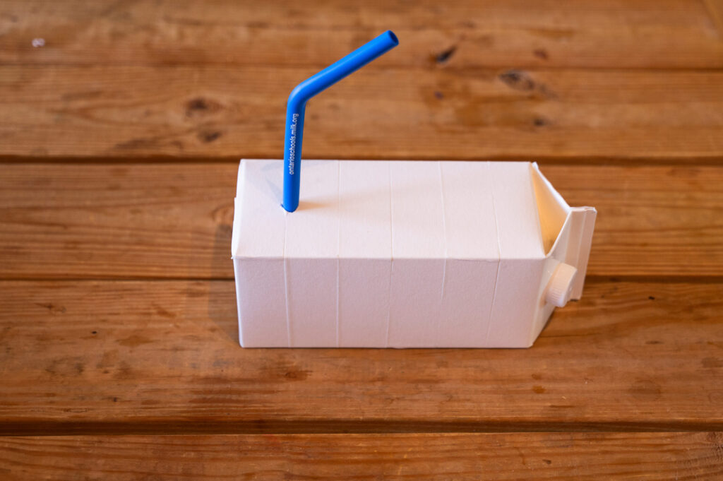 Milk Carton Boats