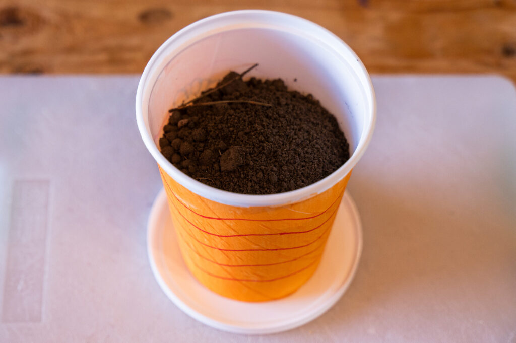 Yogurt Container Planters